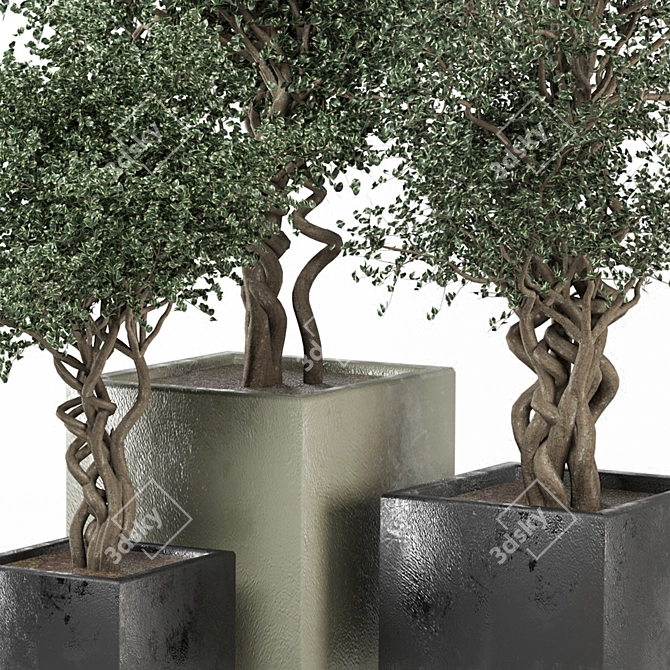  3D Outdoor Plants Set 3D model image 2