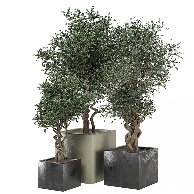  3D Outdoor Plants Set 3D model image 4