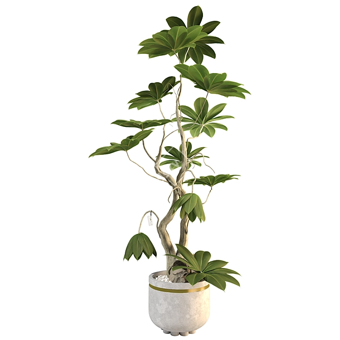 3D Plant & Decor Collection 3D model image 2