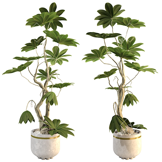 3D Plant & Decor Collection 3D model image 3