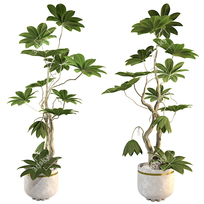 3D Plant & Decor Collection 3D model image 4