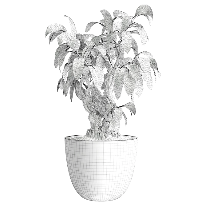 Modern Indoor Plant 531 Decor 3D model image 3