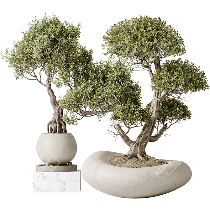Variety Indoor Plant Set 3D 3D model image 1