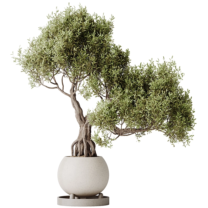 Variety Indoor Plant Set 3D 3D model image 2