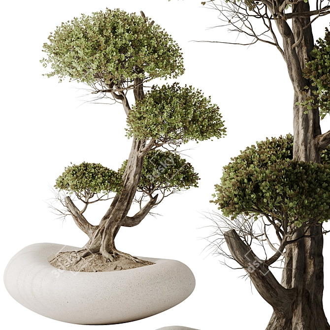 Variety Indoor Plant Set 3D 3D model image 3