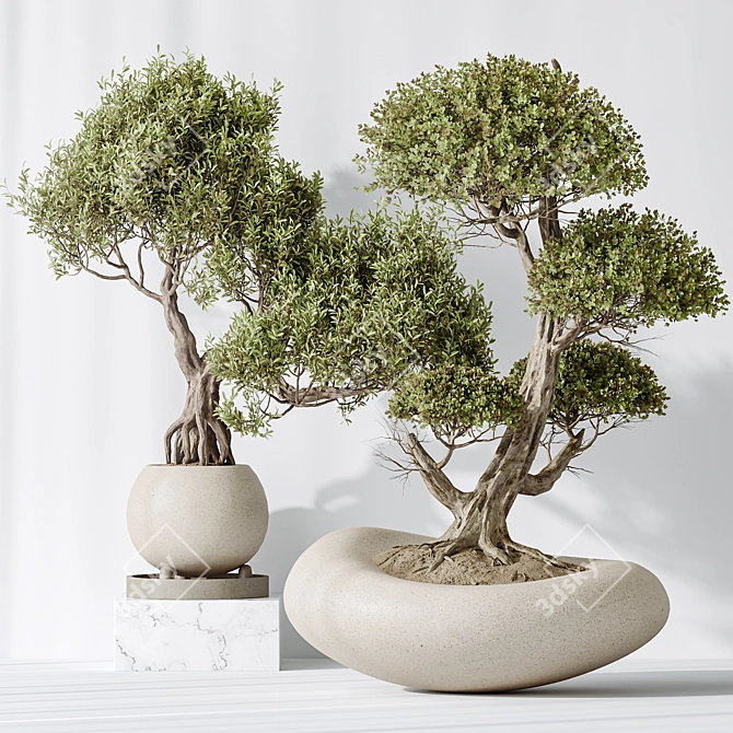 Variety Indoor Plant Set 3D 3D model image 4
