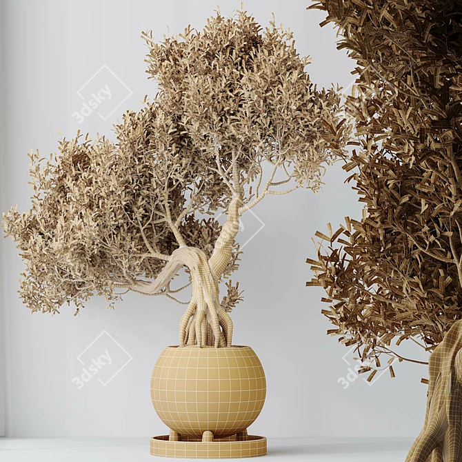 Variety Indoor Plant Set 3D 3D model image 5