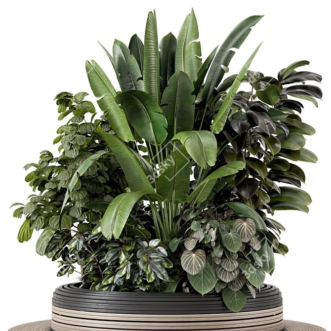 Outdoor Bush and Tree Set 3D model image 1
