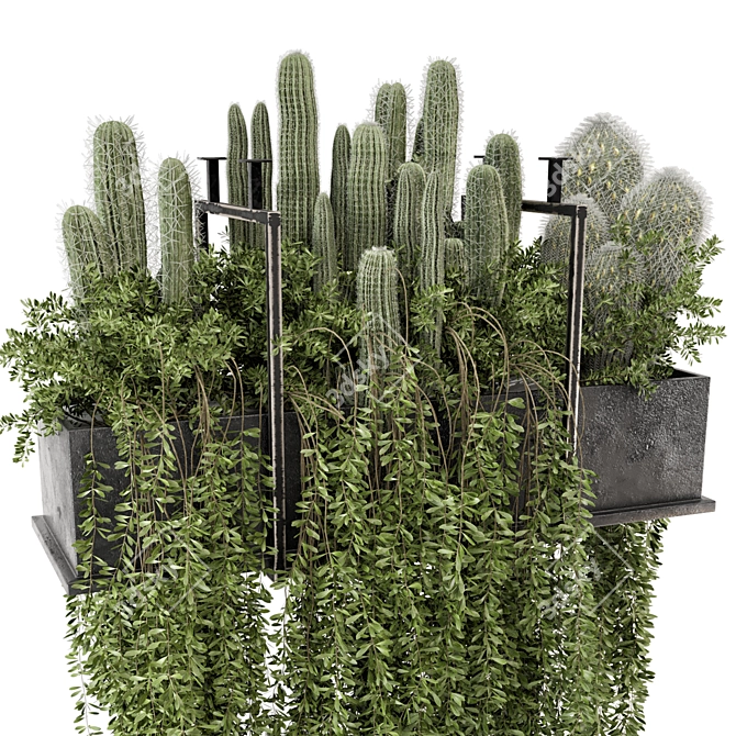 Set of Indoor Hanging Plants 3D model image 2