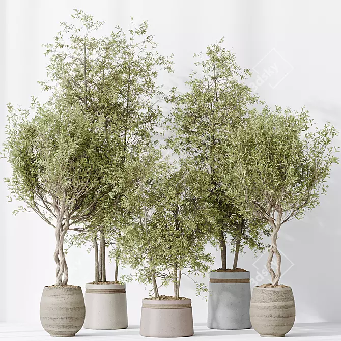 4K Indoor Plant 3D Models 3D model image 5