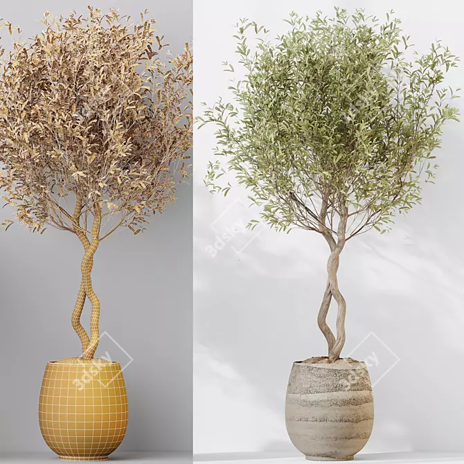 4K Indoor Plant 3D Models 3D model image 6