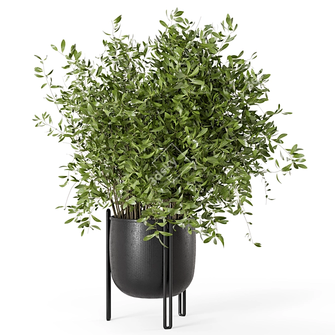  Minimalistic Indoor Plant Set 3D model image 1