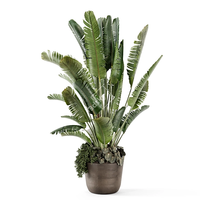 Handmade Stone Pot Indoor Plants 3D model image 3