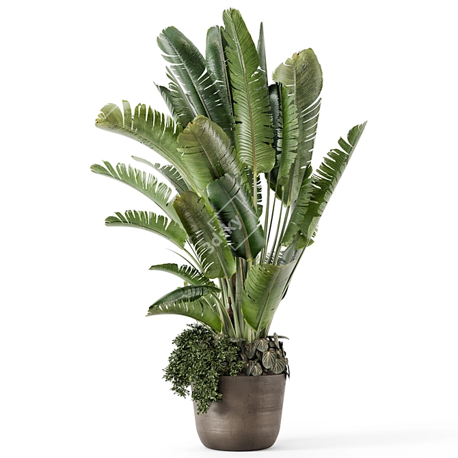 Handmade Stone Pot Indoor Plants 3D model image 4
