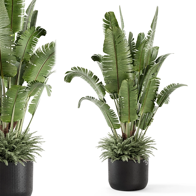 Modern Indoor Plants Set 2448 3D model image 2