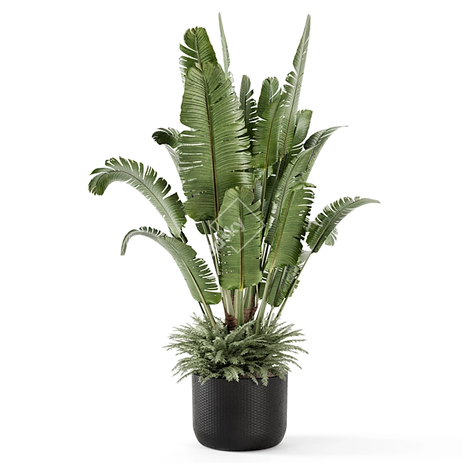 Modern Indoor Plants Set 2448 3D model image 4