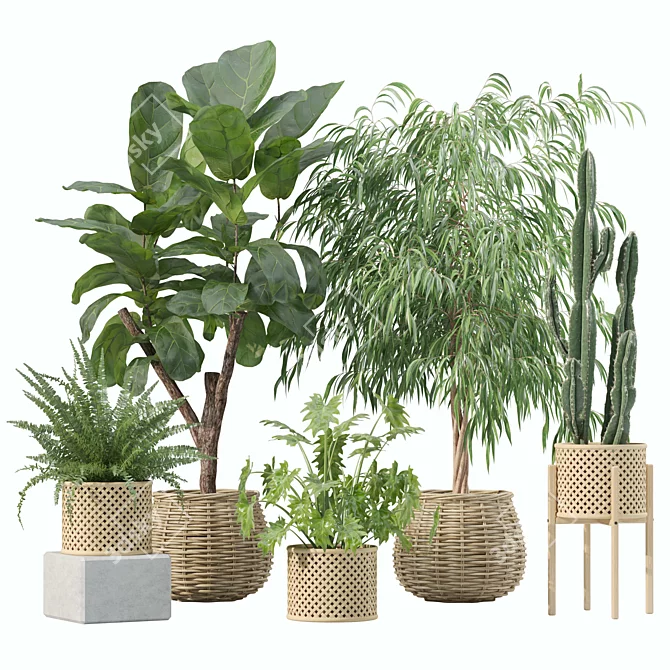 Botanical Rattan Pot Plants Collection 3D model image 1