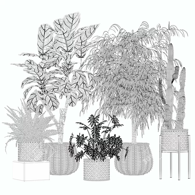 Botanical Rattan Pot Plants Collection 3D model image 5