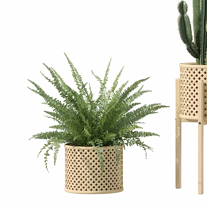 Botanical Rattan Pot Plants Collection 3D model image 7