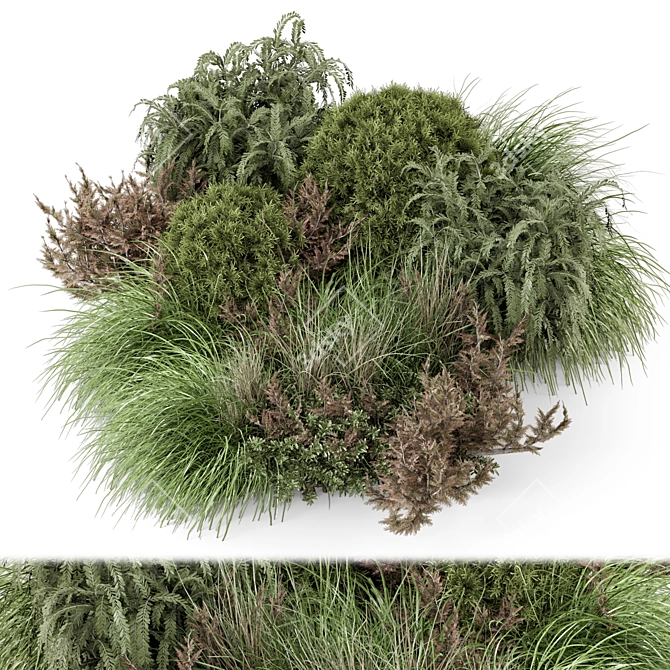 Outdoor Bush Collection 2015 MAX 3D model image 1