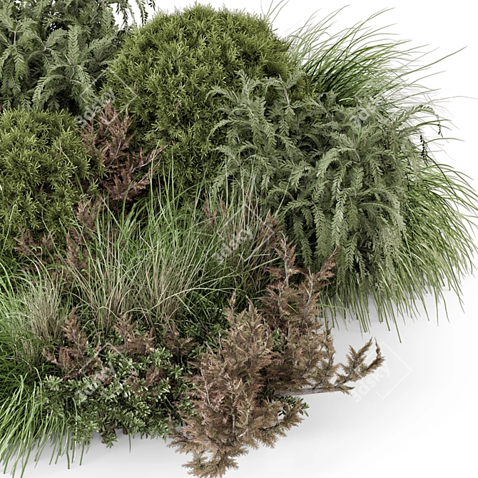 Outdoor Bush Collection 2015 MAX 3D model image 4