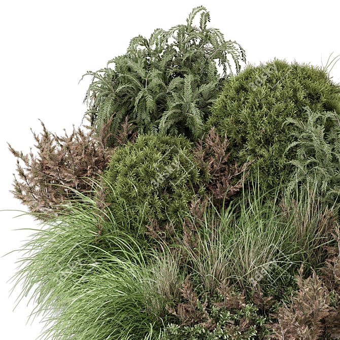 Outdoor Bush Collection 2015 MAX 3D model image 5