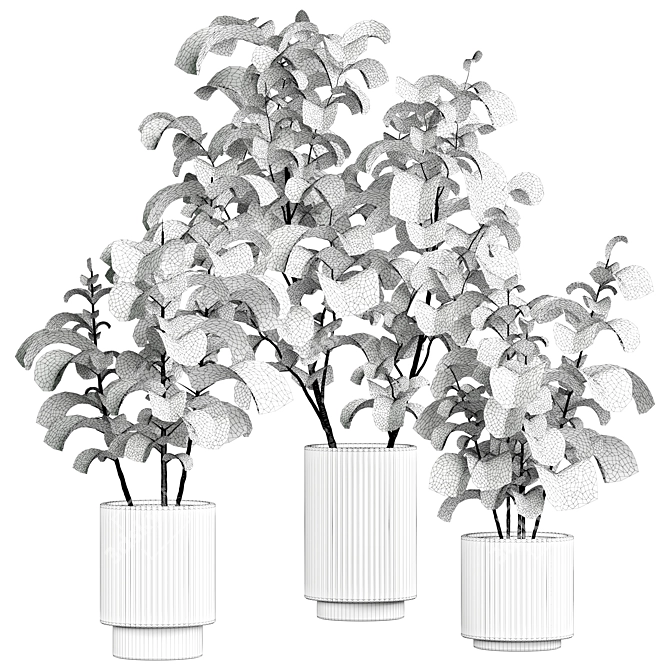 2015 Indoor Plant 535 3D Model 3D model image 3