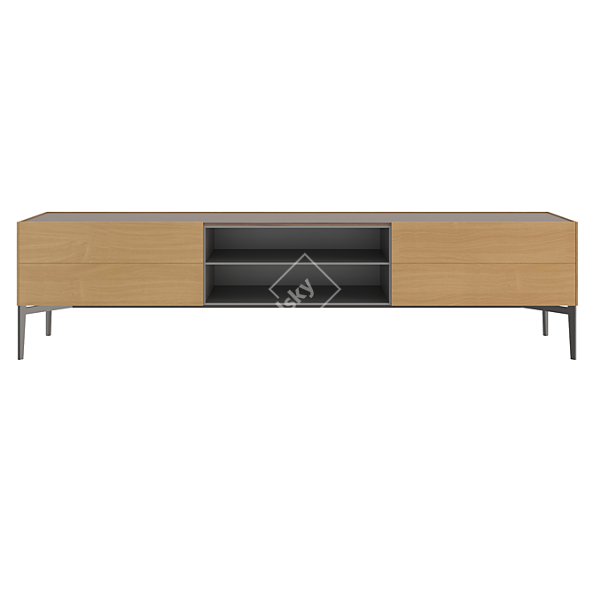  Modern Minimalist Sideboard by Poliform 3D model image 4