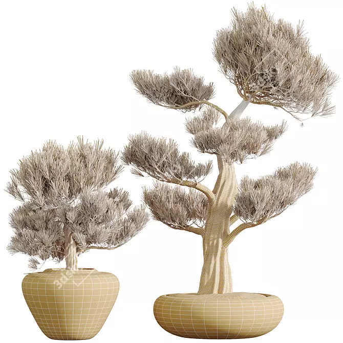 Elegant Olive Tree Trio Set 3D model image 4