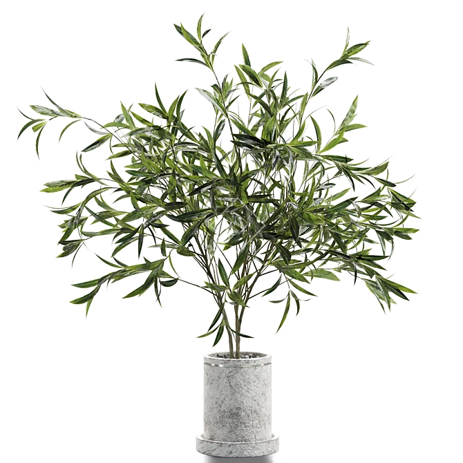 Botanical Beauty Vases | Branches 3D model image 1