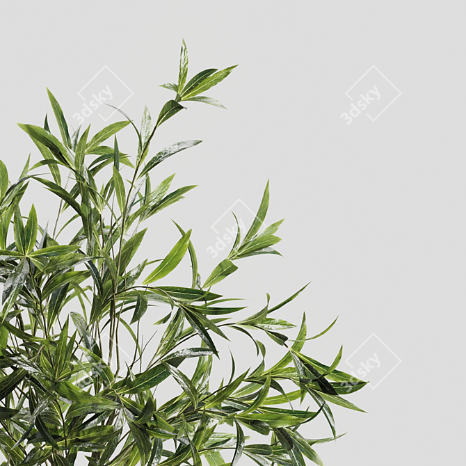 Botanical Beauty Vases | Branches 3D model image 3