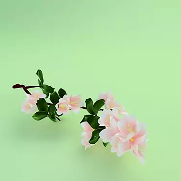 Apple branch