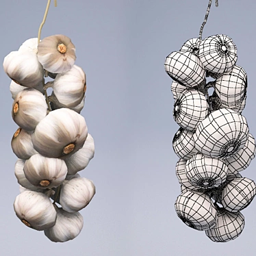 Garlic 3D Model | 1152 Polygons | 24176 Poly | Texture 800x800 3D model image 1 