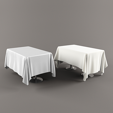 Two Variants Rectangle Tablecloth 3D model image 1 