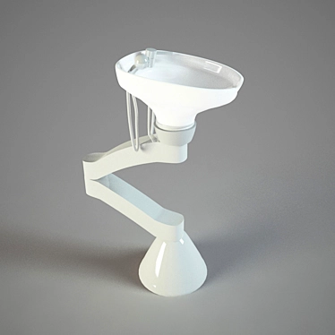 Portable Salon Beauty Washer 3D model image 1 