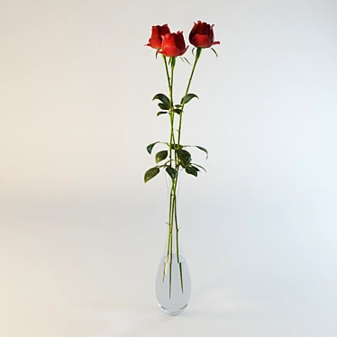 Vase Pohutukawa
