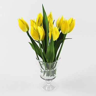 Tulips in a Vase