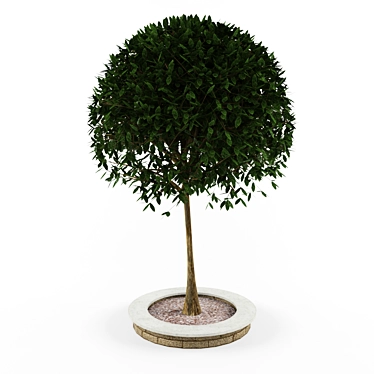 Exterior Decor Tree | Outdoor Ornamental Accent 3D model image 1 
