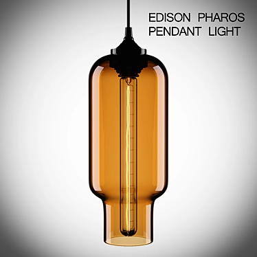 Amber Glow Edison Pendant Light 3D model image 1 