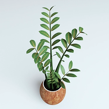 Zamioculcas Plant - Perfect for Workspace! 3D model image 1 