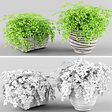 Adiantum Houseplant | Vray, Max 2011, FBX, Textures, Render 3D model image 1 