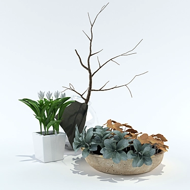 Variety of Plants to Choose 3D model image 1 