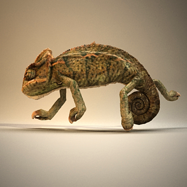 Color-Changing Reptile: Chameleon 3D model image 1 