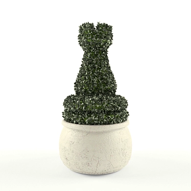 Chessboard Topiary Bush 3D model image 1 