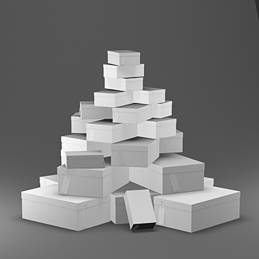 Tagged Shoe Boxes: Simple Storage Solution 3D model image 1 
