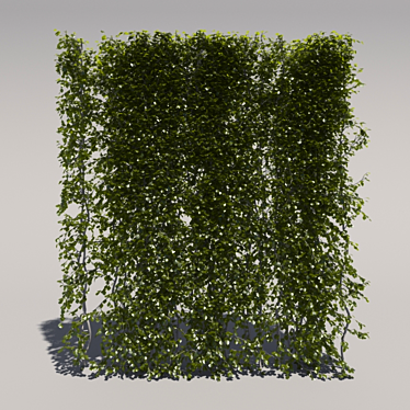 Trimmed High Bush - 2nd Edition 3D model image 1 