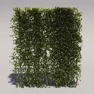 Trimmed Bush, Tall & Sleek 3D model image 1 