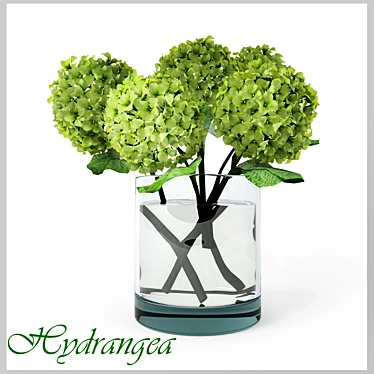 Elegant Hydrangea Bouquet 3D model image 1 