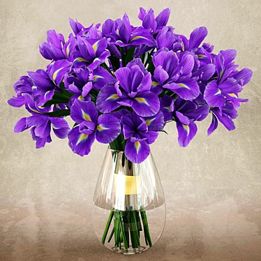 Vray Irises 3D Model 3D model image 1 