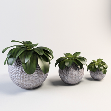 Spherical Plant Vase: Elegant & Large 3D model image 1 